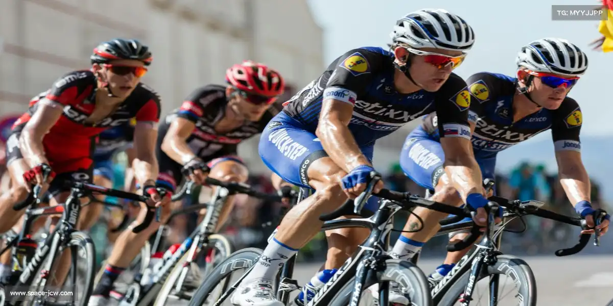 竞彩网首页——从训练到夺冠，我们与你同在！🏅